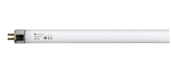 Lysrr T5