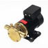 Impellerpump 12V F3B-19 Olja